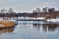 Britzer Garten 2012 Winter © Lutz Griesbach_597