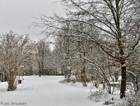 Britzer Garten 2012 Winter © Lutz Griesbach_5
