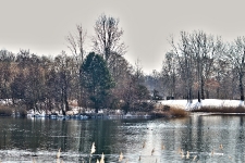 Britzer Garten 2012 Winter © Lutz Griesbach_611