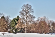 Britzer Garten 2012 Winter © Lutz Griesbach_615
