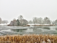 Britzer Garten 2012 Winter © Lutz Griesbach_66