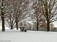 Britzer Garten 2012 Winter © Lutz Griesbach_7