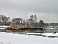 Britzer Garten 2012 Winter © Lutz Griesbach_83