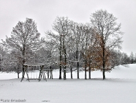 Britzer Garten 2012 Winter © Lutz Griesbach_85