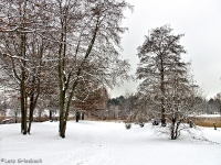 Britzer Garten 2012 Winter © Lutz Griesbach_86