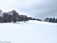 Britzer Garten 2012 Winter © Lutz Griesbach_90
