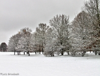 Britzer Garten 2012 Winter © Lutz Griesbach_91