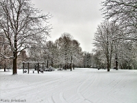 Britzer Garten 2012 Winter © Lutz Griesbach_93
