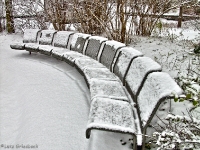 Britzer Garten 2012 Winter © Lutz Griesbach_95