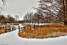  Britzer Garten 2013 Winter © Lutz Griesbach_110
