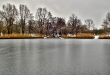  Britzer Garten 2013 Winter © Lutz Griesbach_113