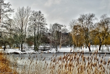  Britzer Garten 2013 Winter © Lutz Griesbach_150