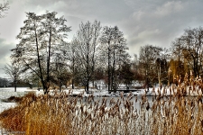  Britzer Garten 2013 Winter © Lutz Griesbach_151