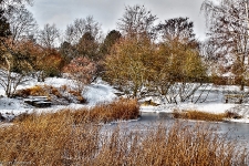  Britzer Garten 2013 Winter © Lutz Griesbach_160