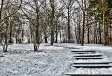  Britzer Garten 2013 Winter © Lutz Griesbach_162