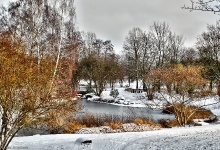  Britzer Garten 2013 Winter © Lutz Griesbach_163