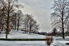  Britzer Garten 2013 Winter © Lutz Griesbach_166