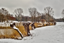  Britzer Garten 2013 Winter © Lutz Griesbach_226