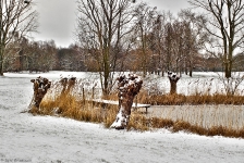  Britzer Garten 2013 Winter © Lutz Griesbach_244