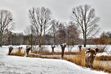  Britzer Garten 2013 Winter © Lutz Griesbach_247