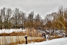  Britzer Garten 2013 Winter © Lutz Griesbach_248