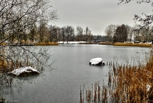  Britzer Garten 2013 Winter © Lutz Griesbach_253