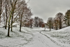  Britzer Garten 2013 Winter © Lutz Griesbach_262