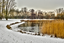  Britzer Garten 2013 Winter