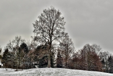  Britzer Garten 2013 Winter © Lutz Griesbach_320