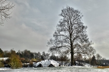  Britzer Garten 2013 Winter © Lutz Griesbach_7