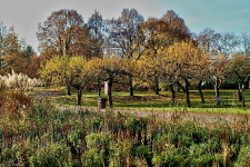 Britzer Garten 2014 Herbst