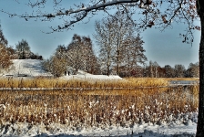 Britzer Garten 2014 Winter © Lutz Griesbach_118