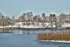 Britzer Garten 2014 Winter © Lutz Griesbach_129