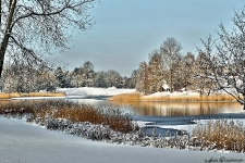 Britzer Garten 2014 Winter © Lutz Griesbach_130
