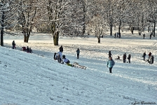 Britzer Garten 2014 Winter © Lutz Griesbach_151