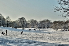 Britzer Garten 2014 Winter © Lutz Griesbach_153