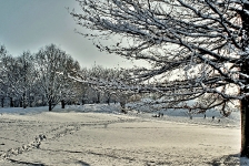 Britzer Garten 2014 Winter © Lutz Griesbach_156