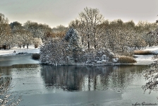 Britzer Garten 2014 Winter © Lutz Griesbach_171