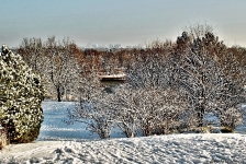Britzer Garten 2014 Winter © Lutz Griesbach_187