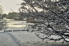 Britzer Garten 2014 Winter © Lutz Griesbach_18