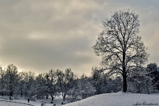 Britzer Garten 2014 Winter © Lutz Griesbach_19