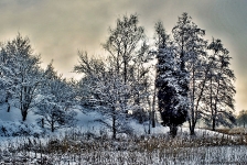 Britzer Garten 2014 Winter © Lutz Griesbach_26