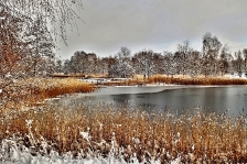Britzer Garten 2014 Winter