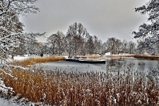 Britzer Garten 2014 Winter © Lutz Griesbach_39