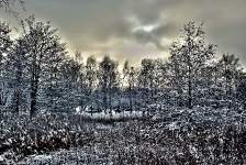 Britzer Garten 2014 Winter © Lutz Griesbach_51