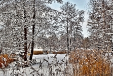 Britzer Garten 2014 Winter © Lutz Griesbach_54