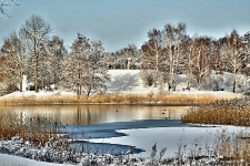 Britzer Garten 2014 Winter © Lutz Griesbach_62