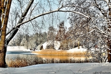 Britzer Garten 2014 Winter © Lutz Griesbach_64