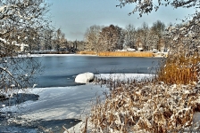 Britzer Garten 2014 Winter © Lutz Griesbach_79