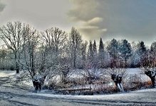 Britzer Garten 2014 Winter © Lutz Griesbach_84